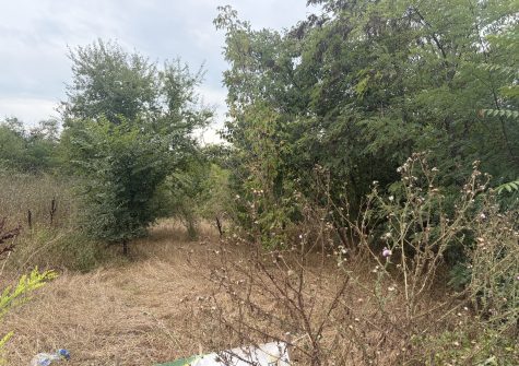 ЗЕМЕЛЕН ИМОТ 3 768 кв.м С ЛИЦЕ КЪМ ПЪТ — ТОПОЛИ, ВАРНА